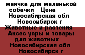 маячка для маленькой собачки › Цена ­ 100 - Новосибирская обл., Новосибирск г. Животные и растения » Аксесcуары и товары для животных   . Новосибирская обл.,Новосибирск г.